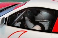 Albi Slot GP - Scalextric - Maserati Coupe Cambiocorsa Trofeo