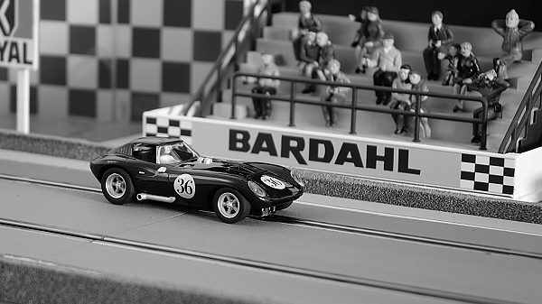 MRRC Cheetah
